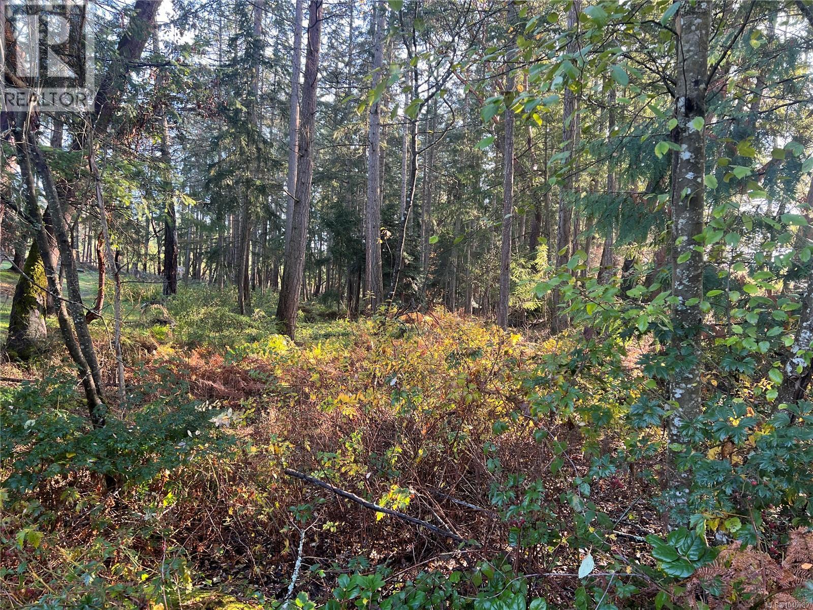 3850 Yellow Point Rd Property Photo 30