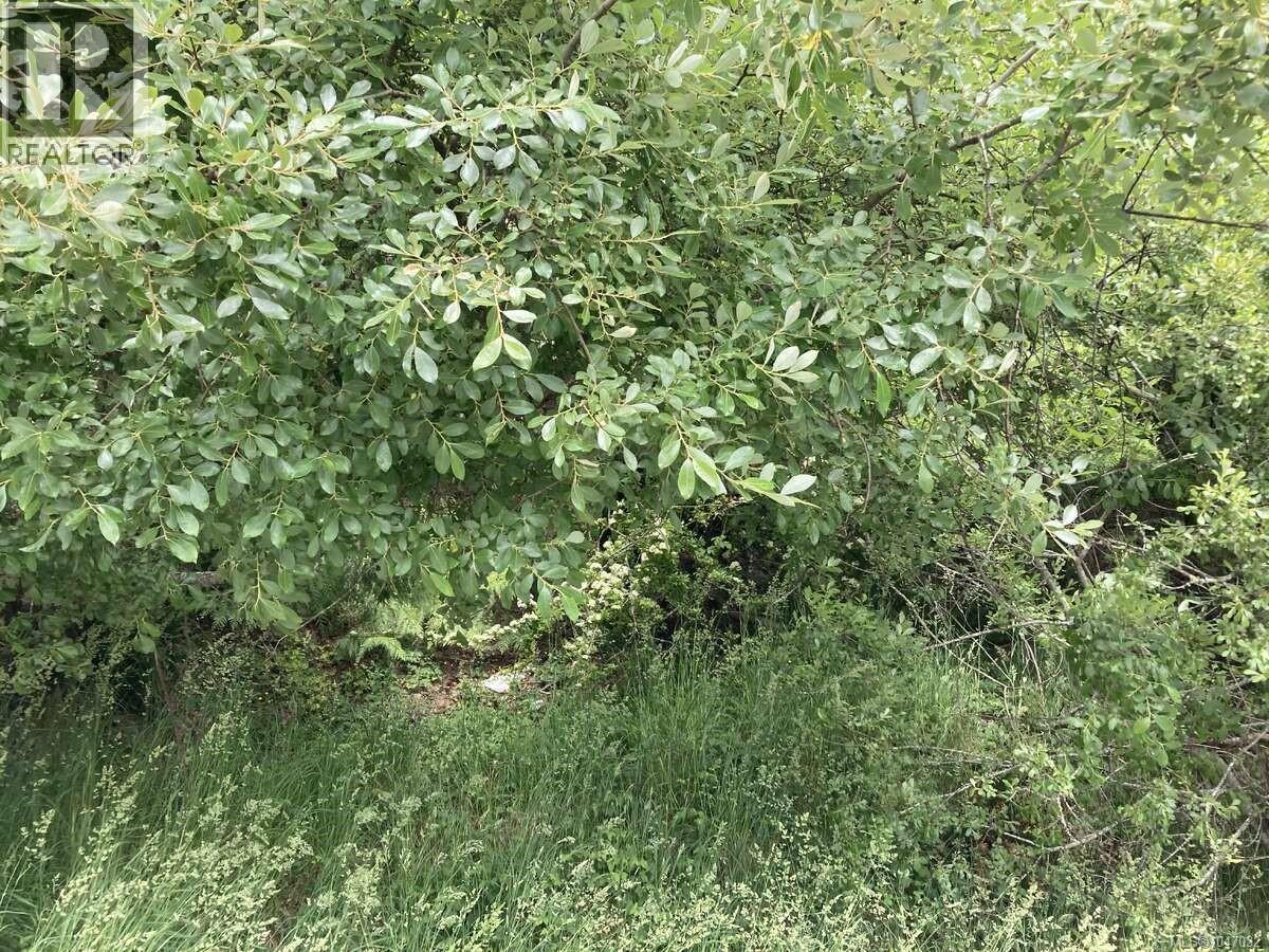 2364 French Rd Property Photo 2