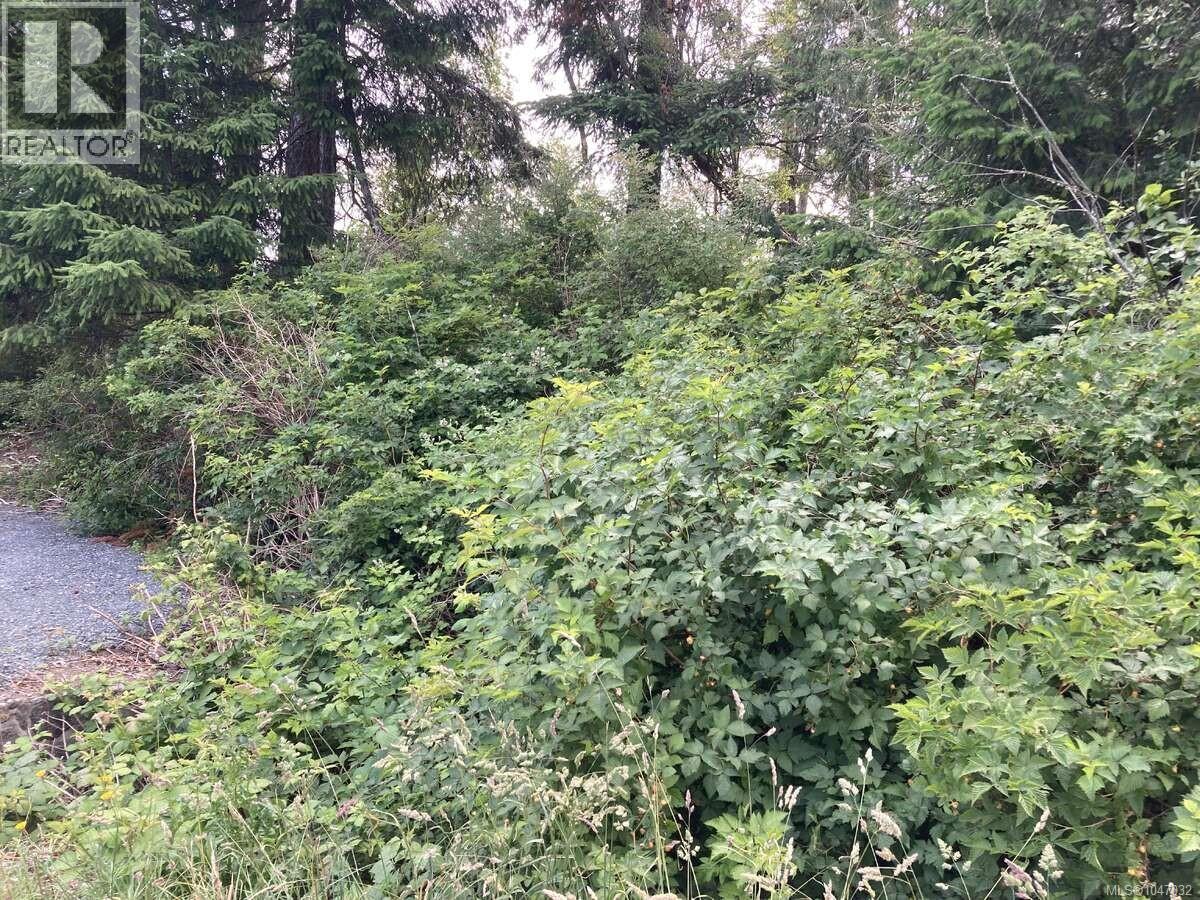 2364 French Rd Property Photo 4