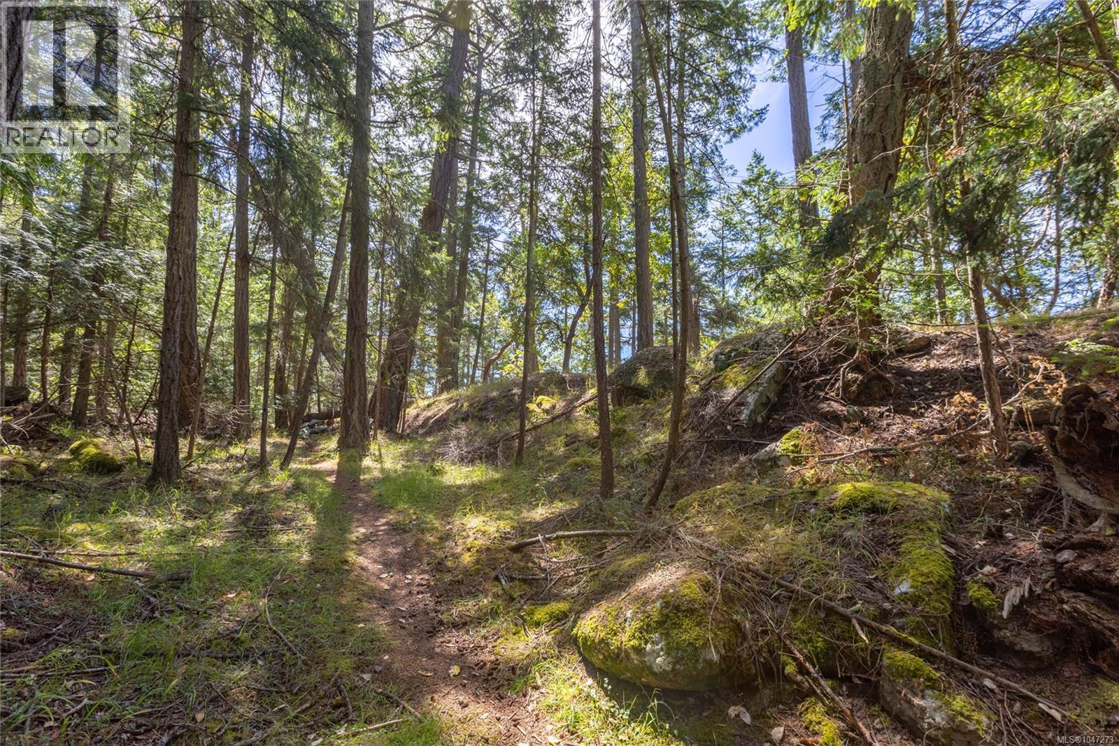 4848 Cutlass Crt Property Photo 14