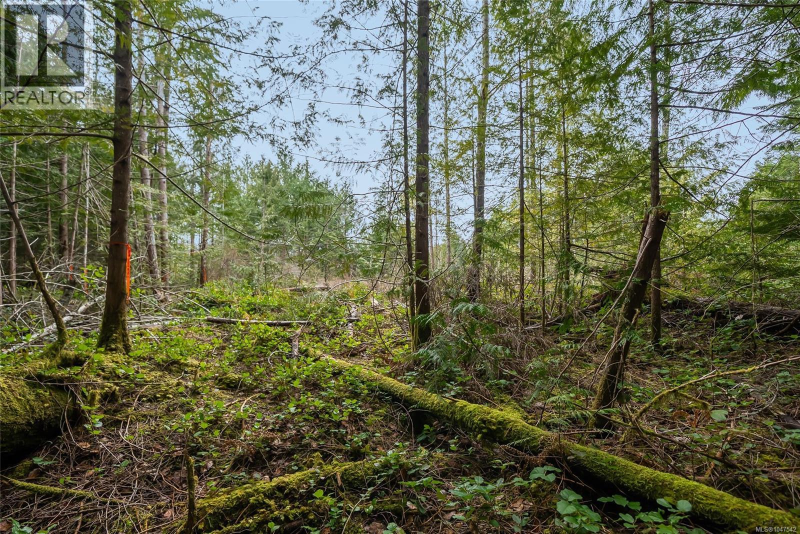 Lot 11 815 Spider Lake Rd Property Photo 20