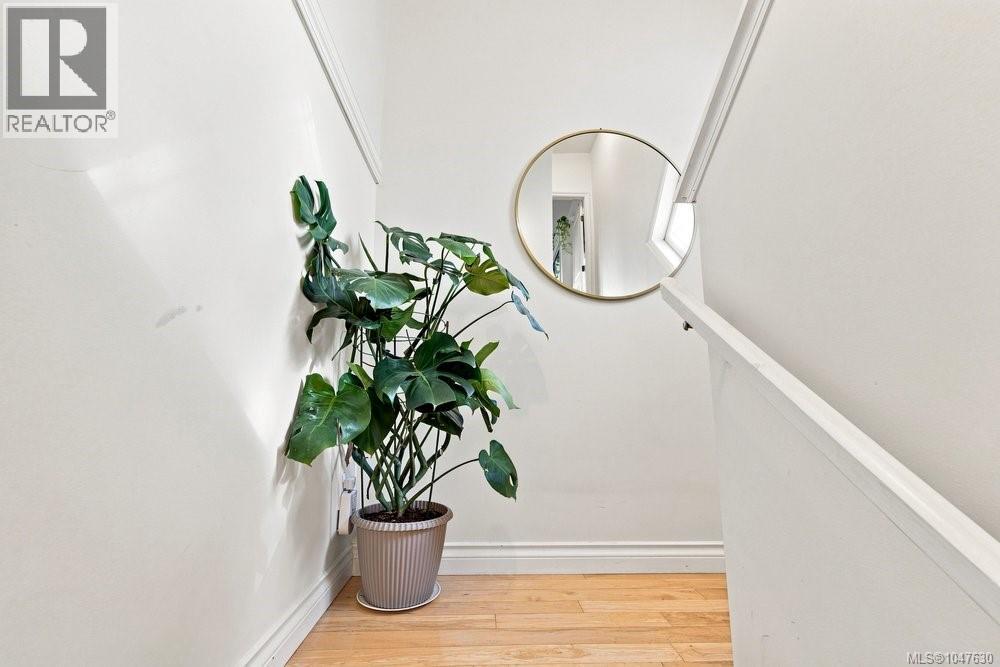 2 307 Moss St Property Photo 19