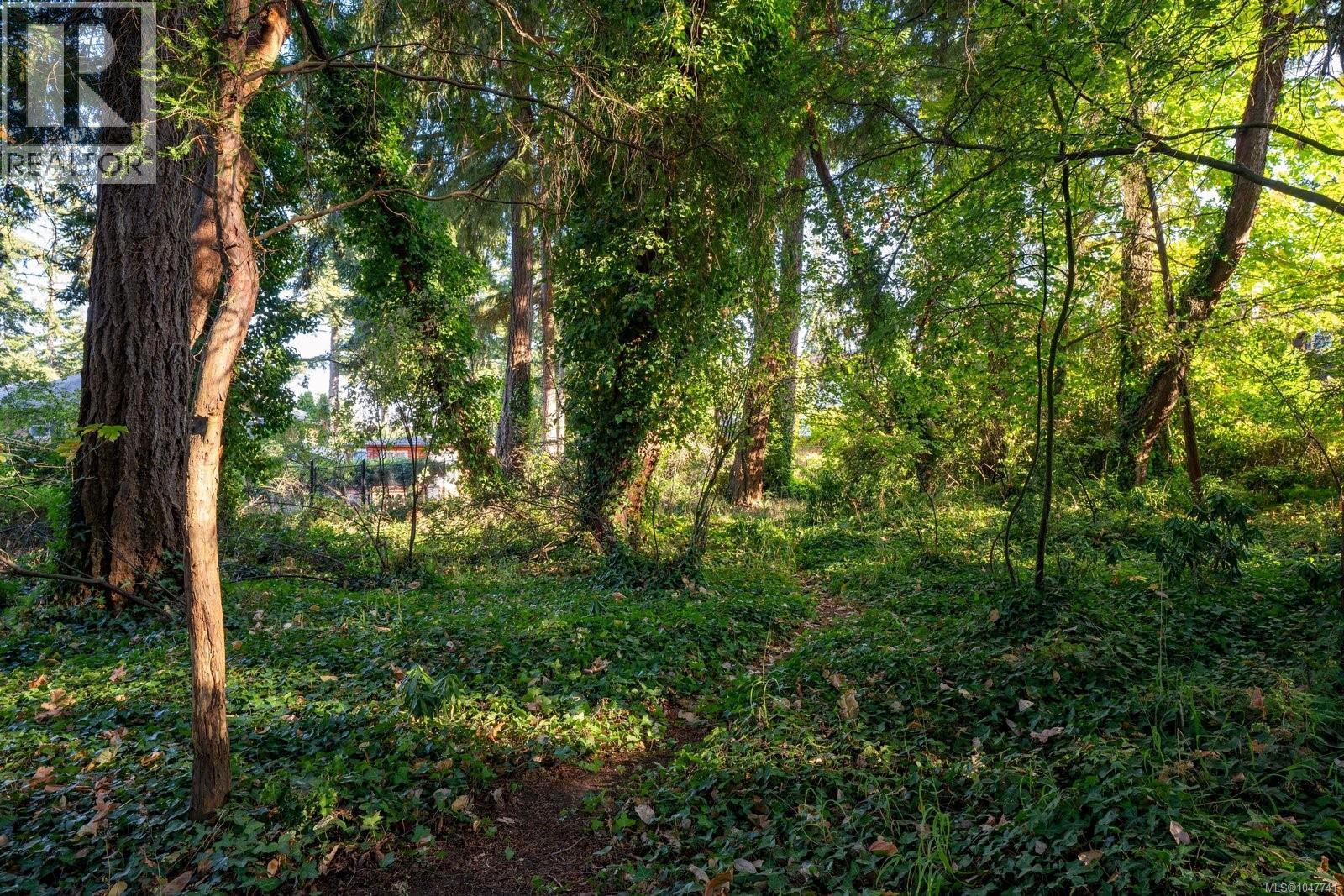 2229 Arbutus Rd E Property Photo 59