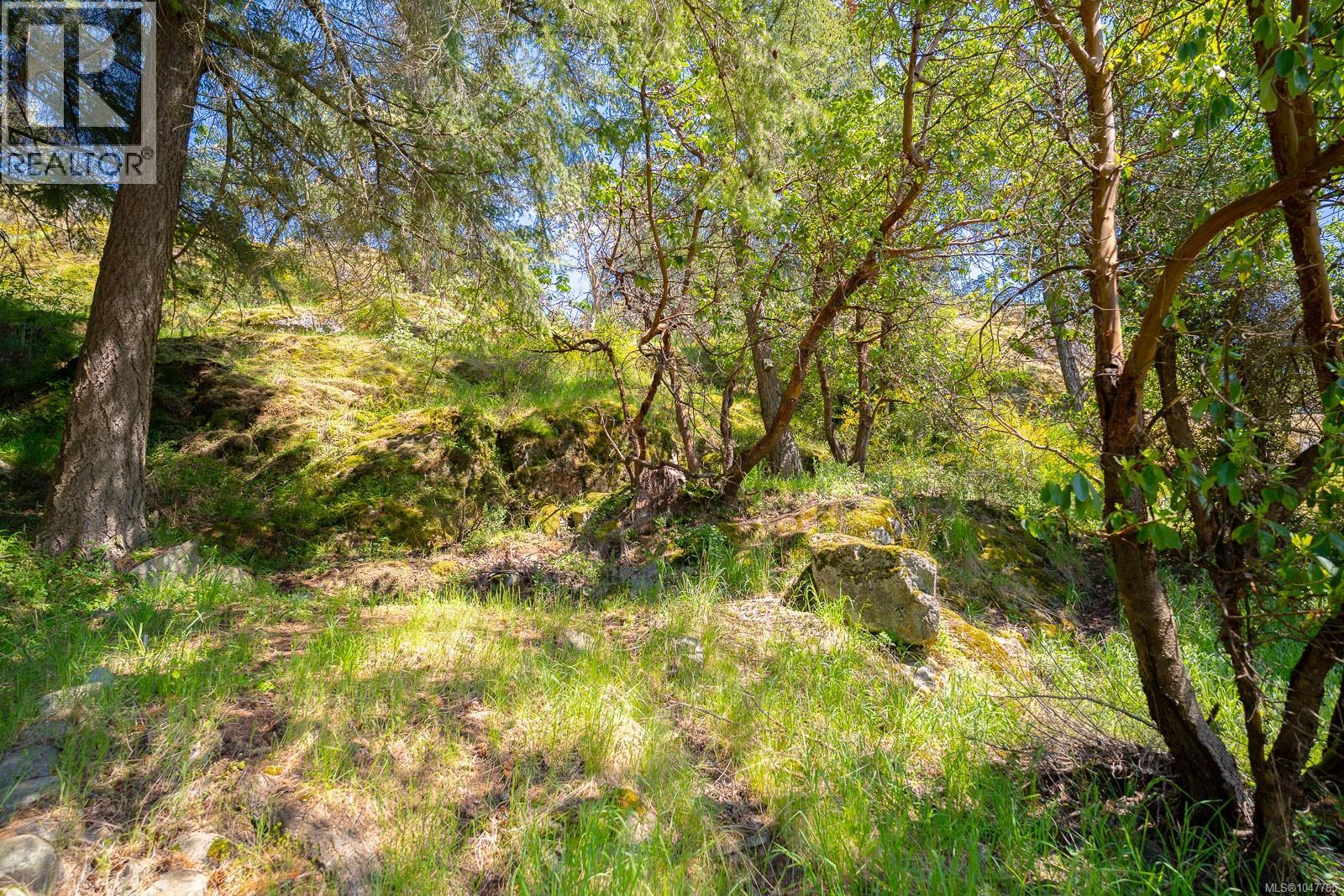 3716 Howden Dr Property Photo 25