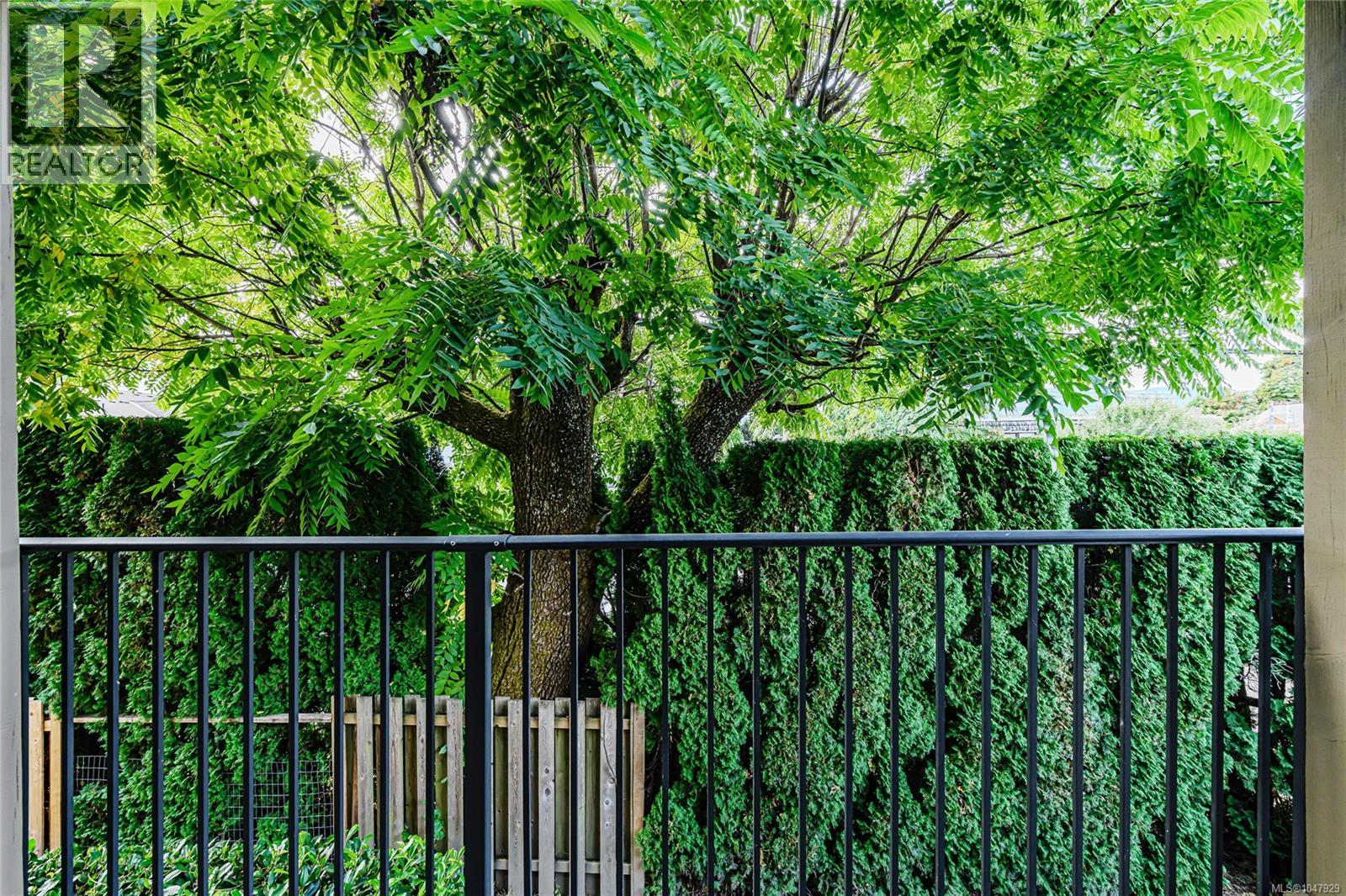 208 2515 Alexander St Property Photo 18