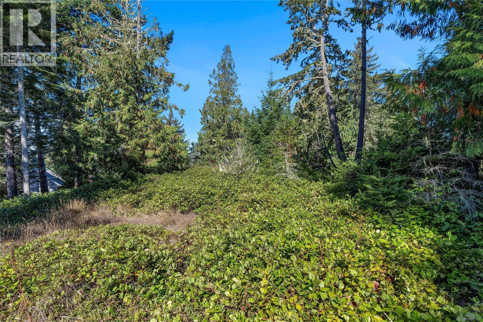7355 Thornton Hts Property Photo 9