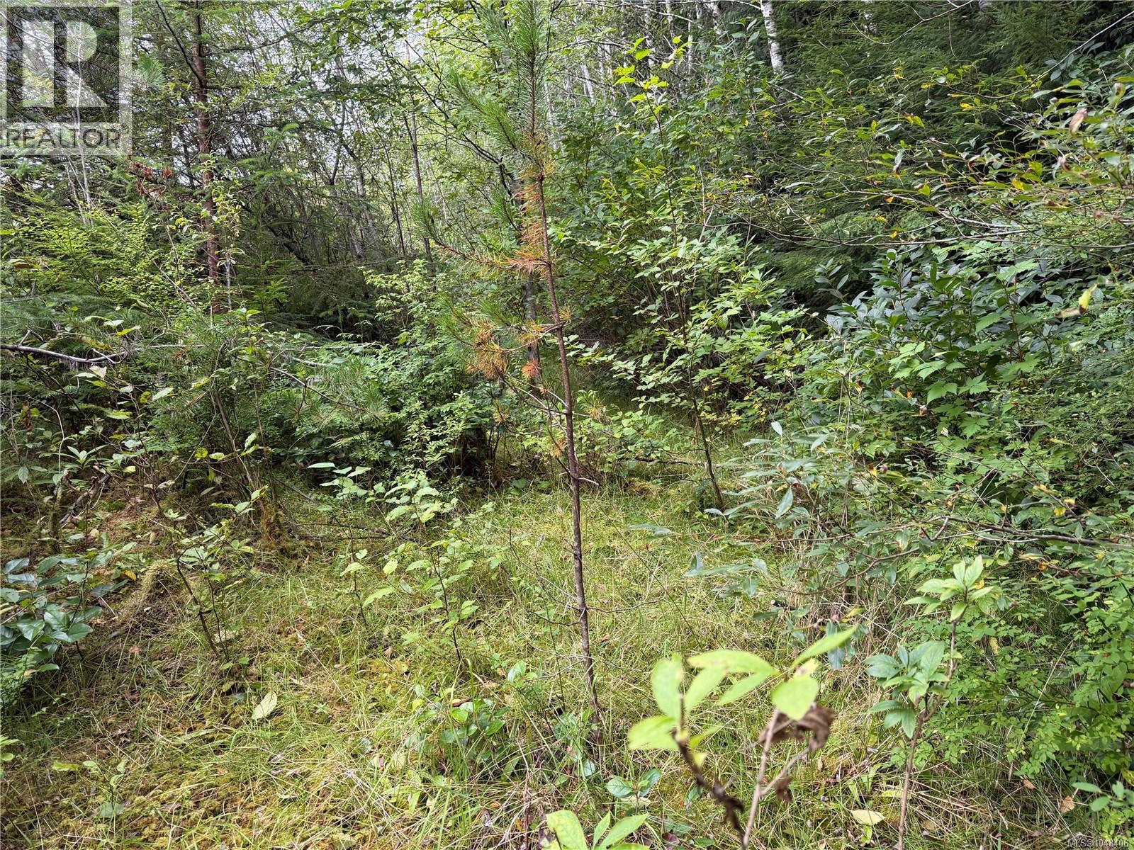 1841 Mine Rd Property Photo 9