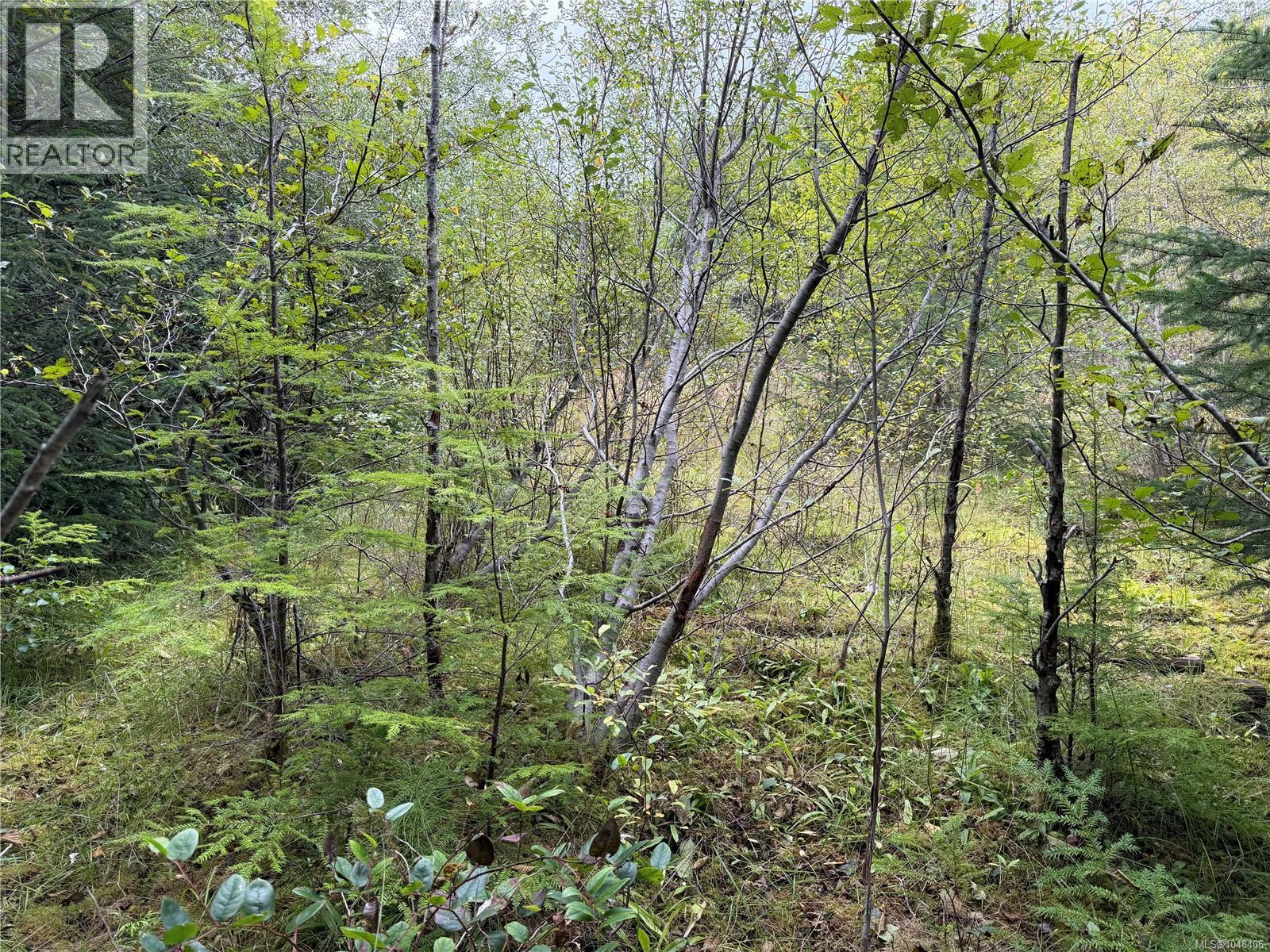 1841 Mine Rd Property Photo 10