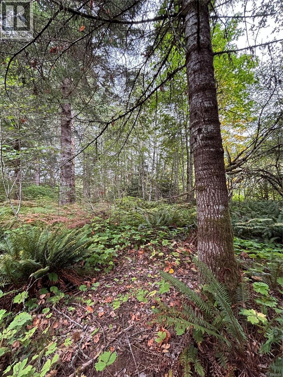 Lot 23 Pratt Rd Property Photo 3