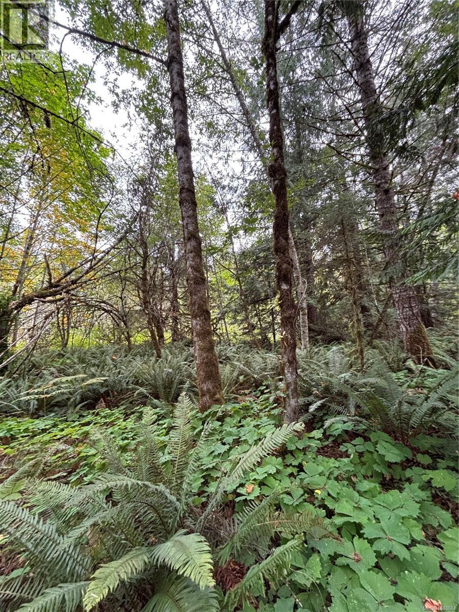 Lot 23 Pratt Rd Property Photo 4