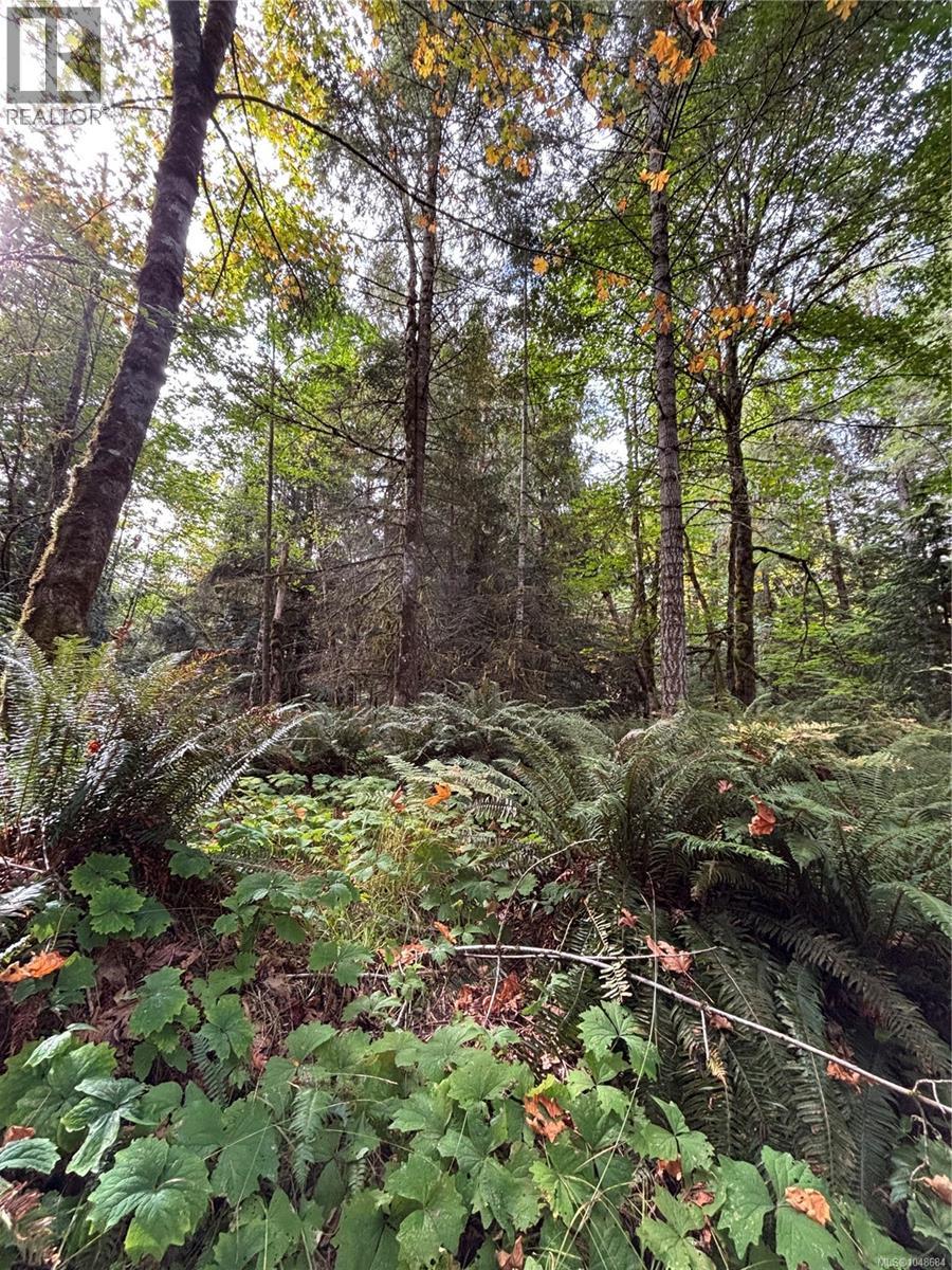 Lot 23 Pratt Rd Property Photo 6