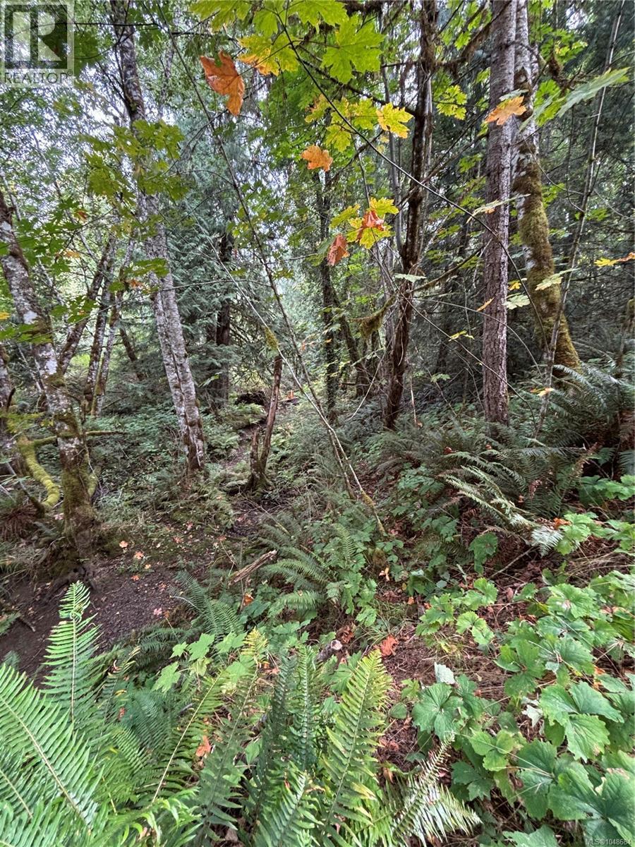 Lot 23 Pratt Rd Property Photo 7