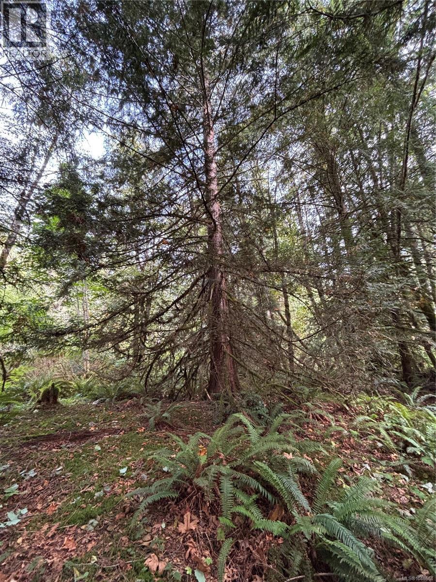Lot 23 Pratt Rd Property Photo 9