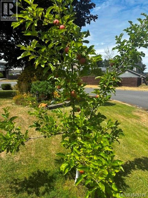 2107 Aaron Way Property Photo 48