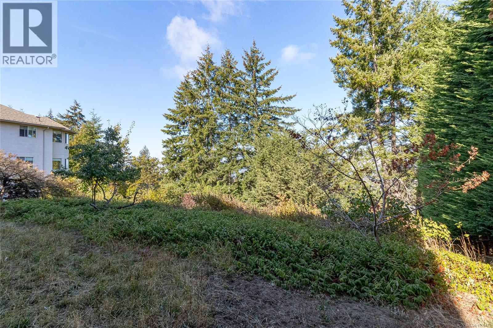 6033 Chippewa Rd Property Photo 44