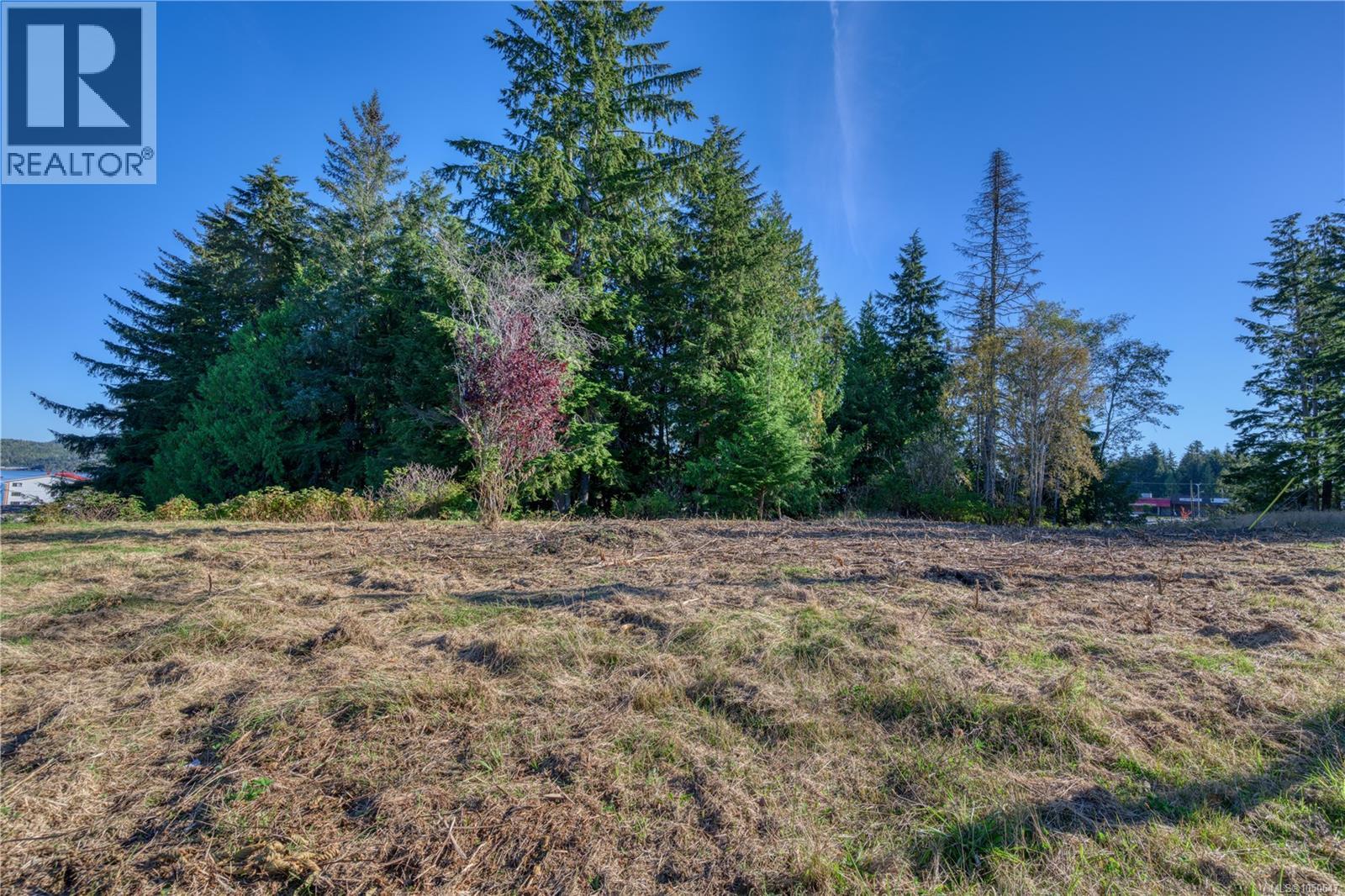 7195 Rupert St Property Photo 3