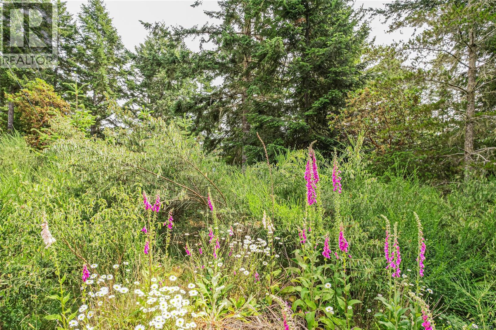 5000 Sooke Hanger Dr Property Photo 72