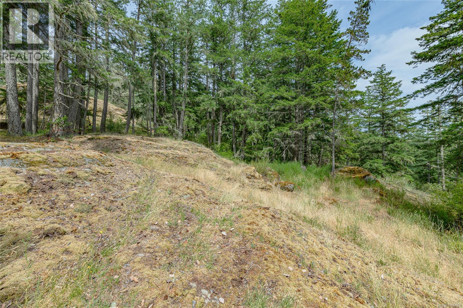 5000 Sooke Hanger Dr Property Photo 79