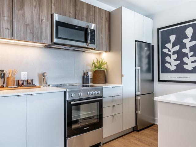 2114 Rue Ste-catherine E., #907 Property Photo 11