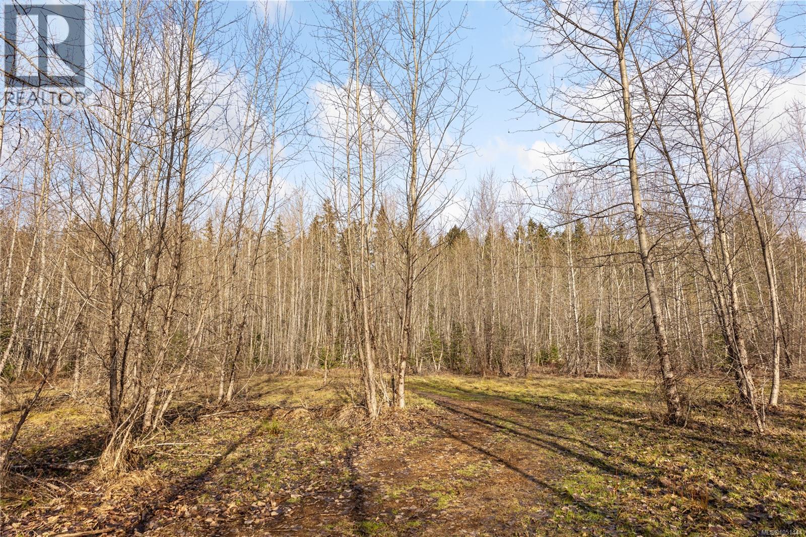 2745 Shaver Rd Property Photo 14