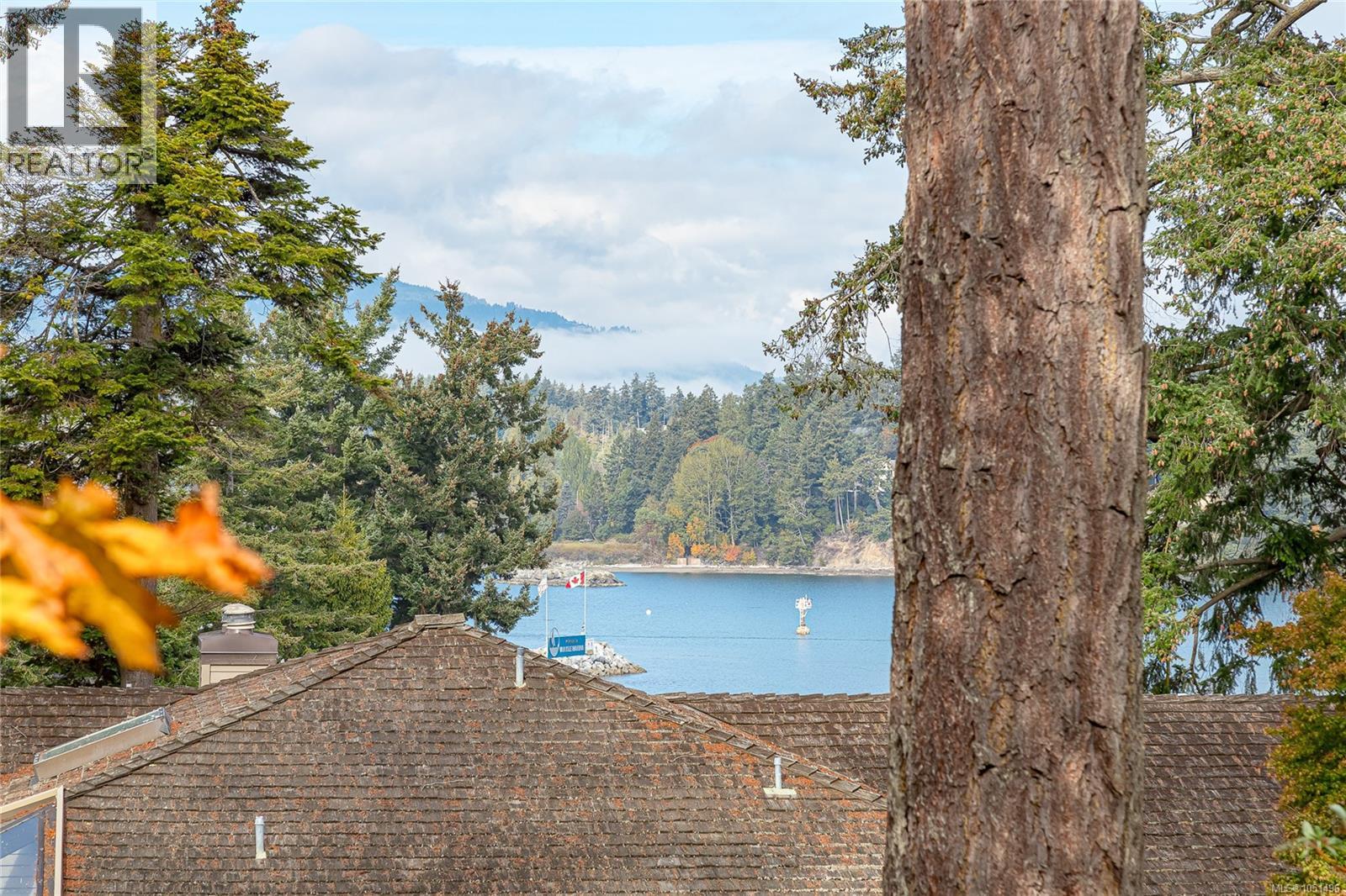 401 2341 Harbour Rd Property Photo 10