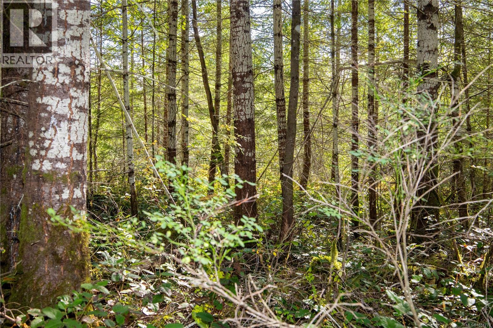 Lot B Chantrelle Way Property Photo 8