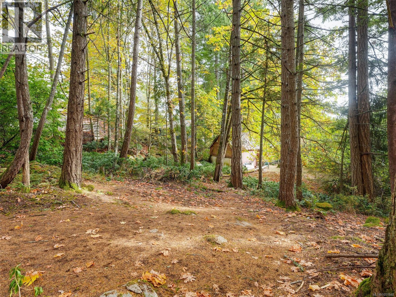 2511 Florence Lake Rd Property Photo 38
