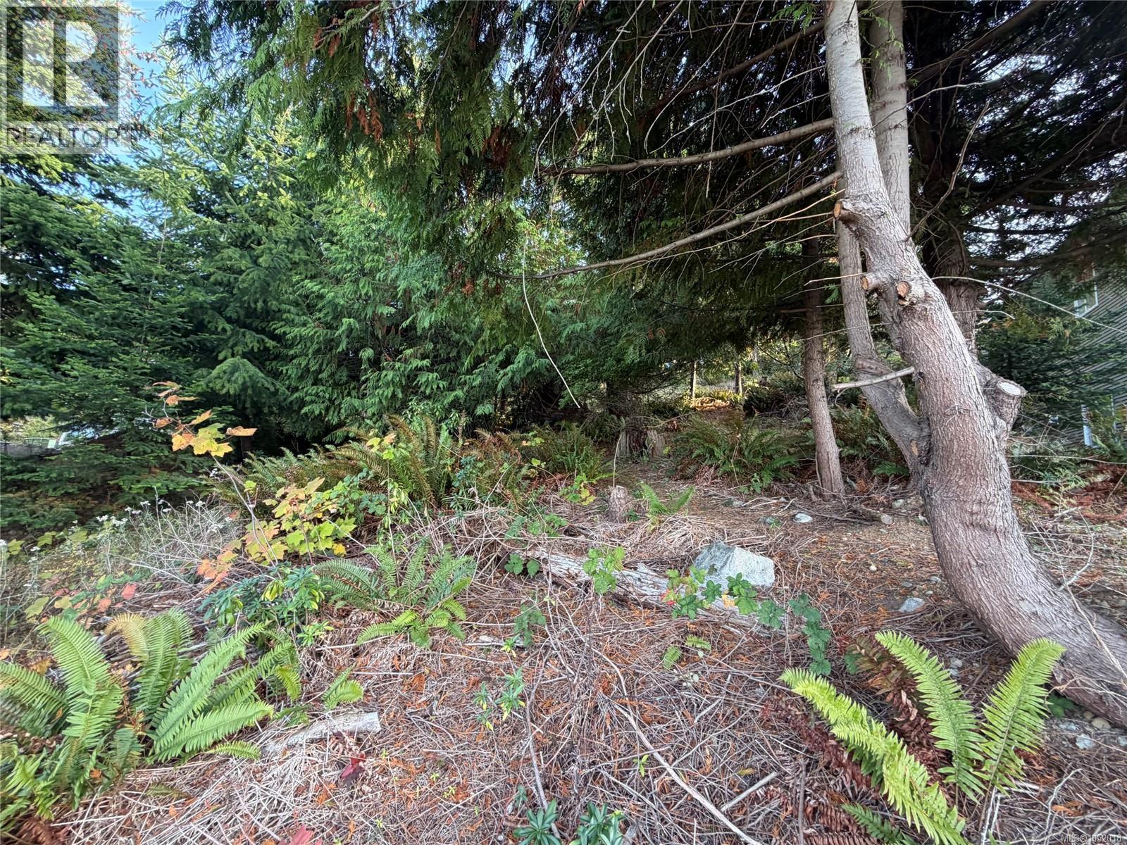 5323 Dewar Rd Property Photo 3
