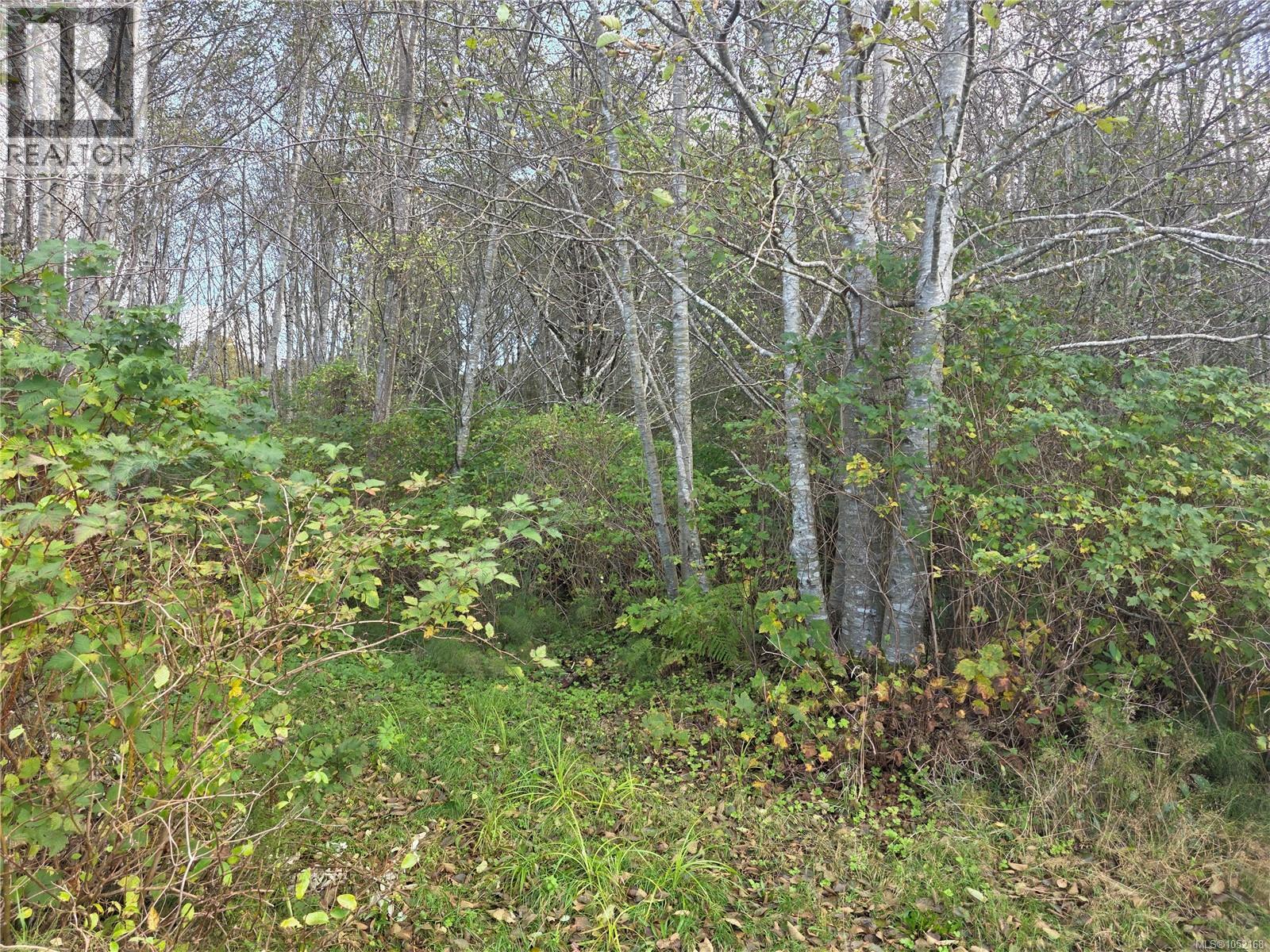 2015 Mcneill Rd Property Photo 4