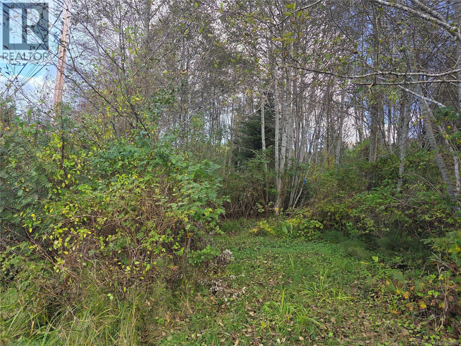 2015 Mcneill Rd Property Photo 5