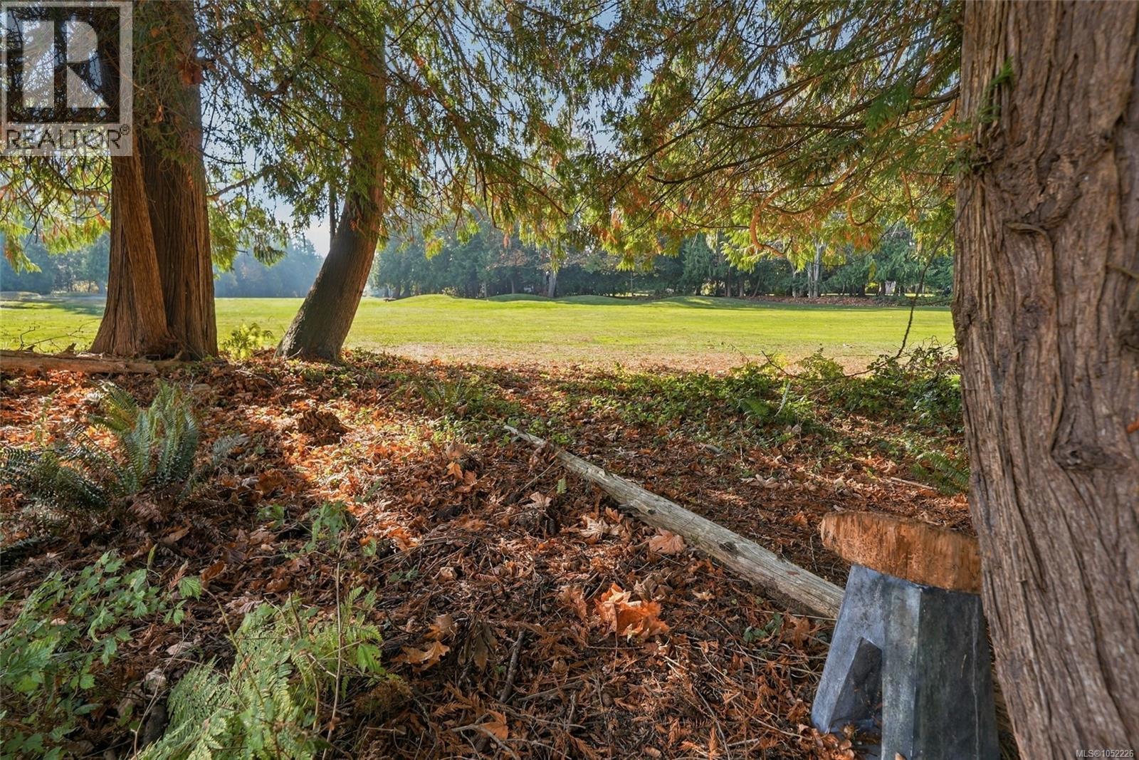 1176 Lee Rd Property Photo 66