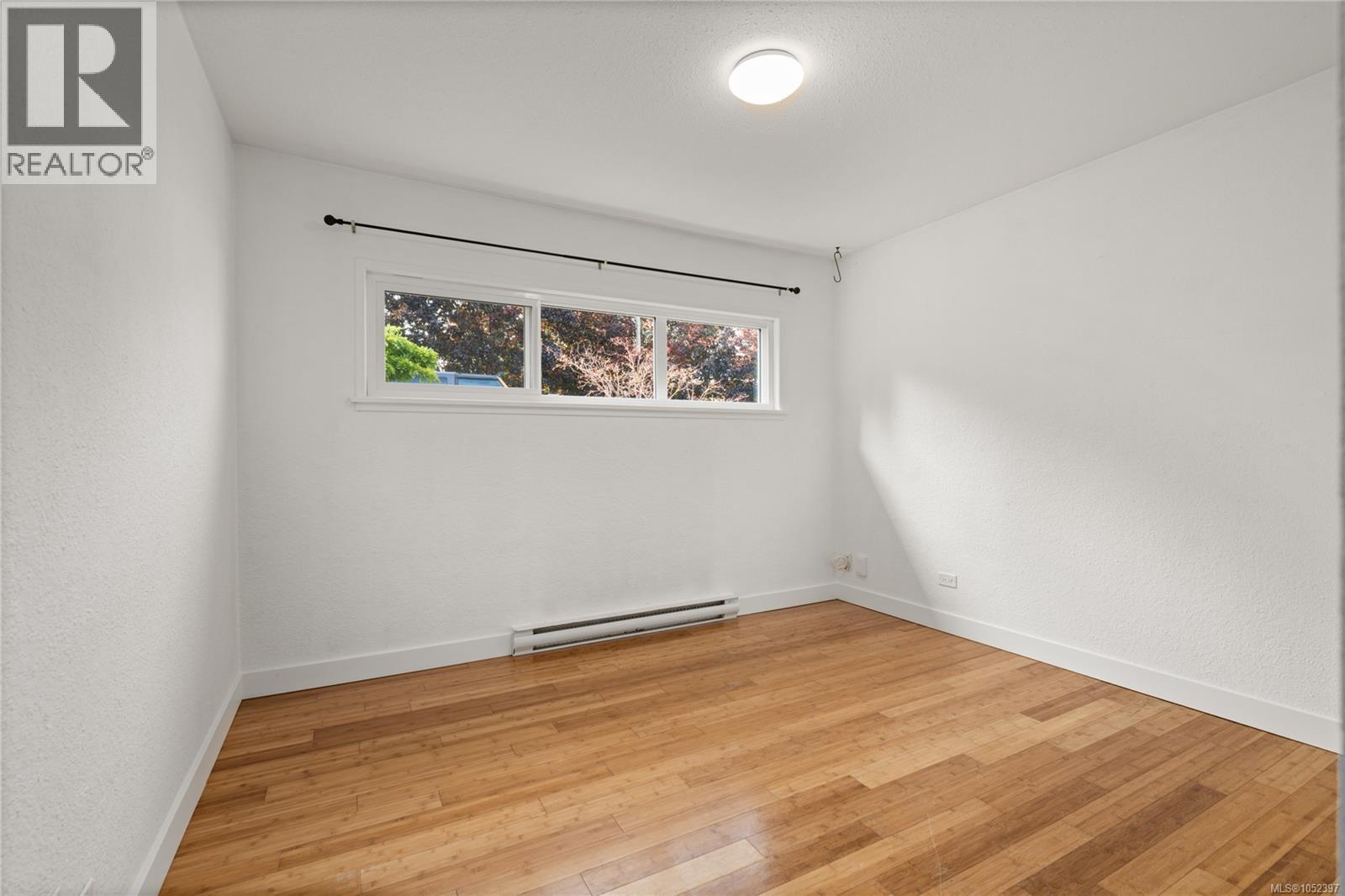 243 Princess St Property Photo 20