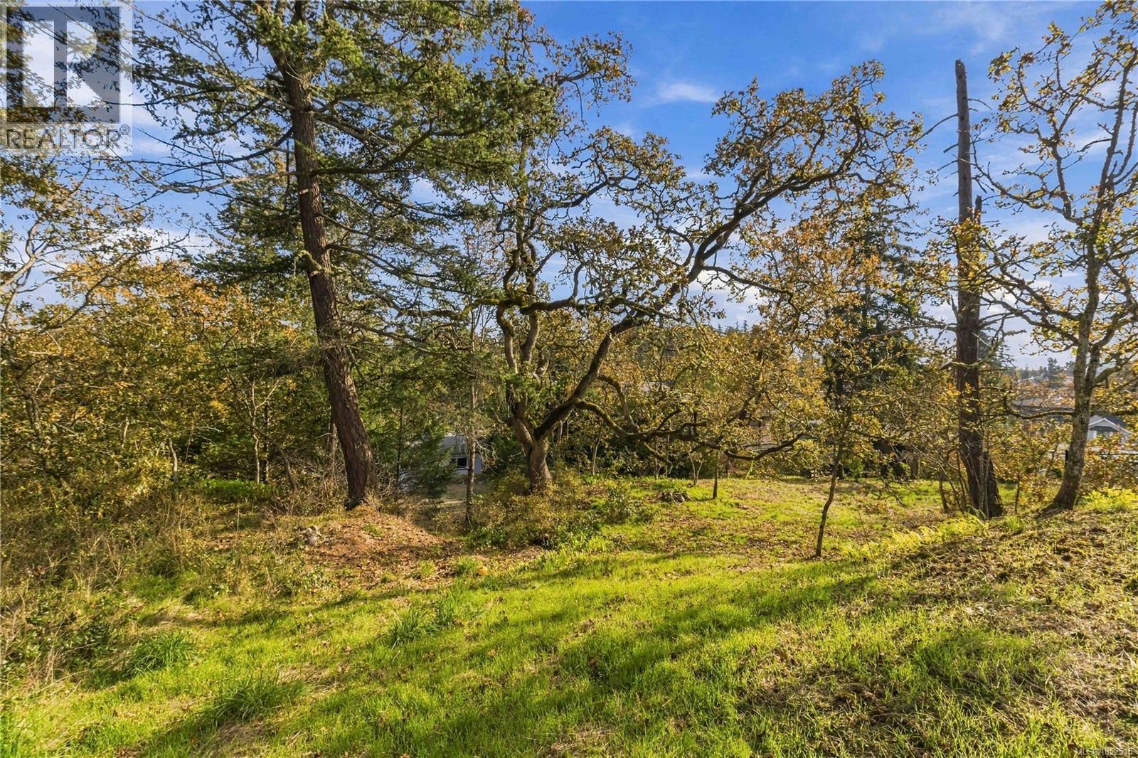 3904 Wilkinson Rd Property Photo 39