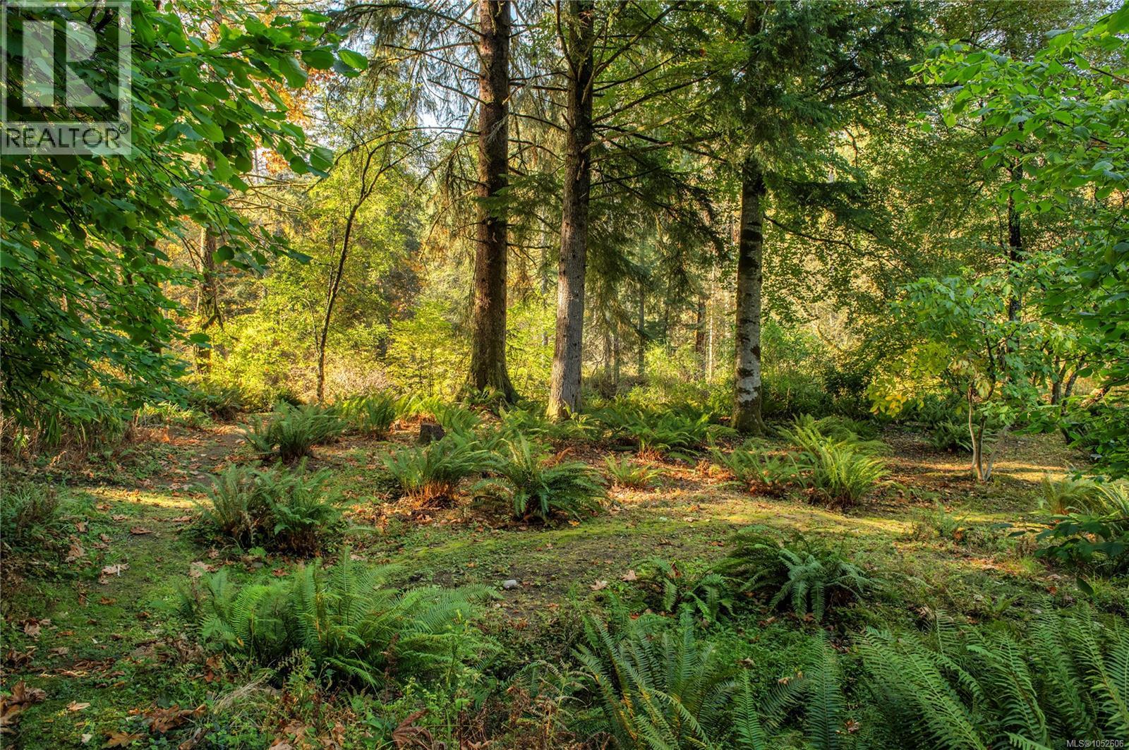 2691 Campbell River Rd Property Photo 50
