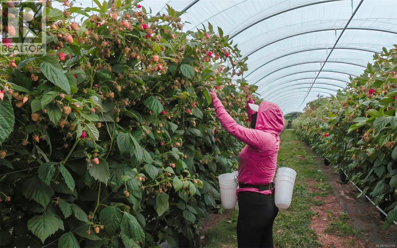 820 Corcan Rd Property Photo 22