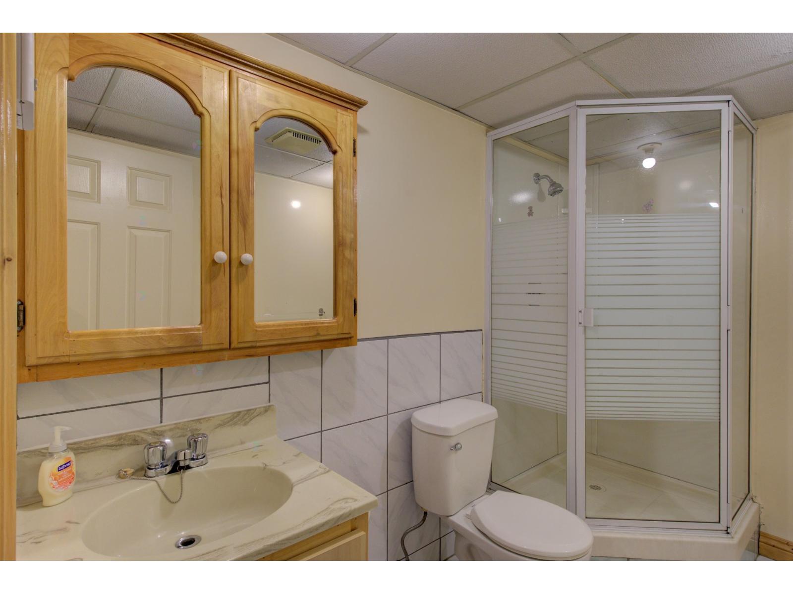 2482 Rue Hertel Property Photo 36