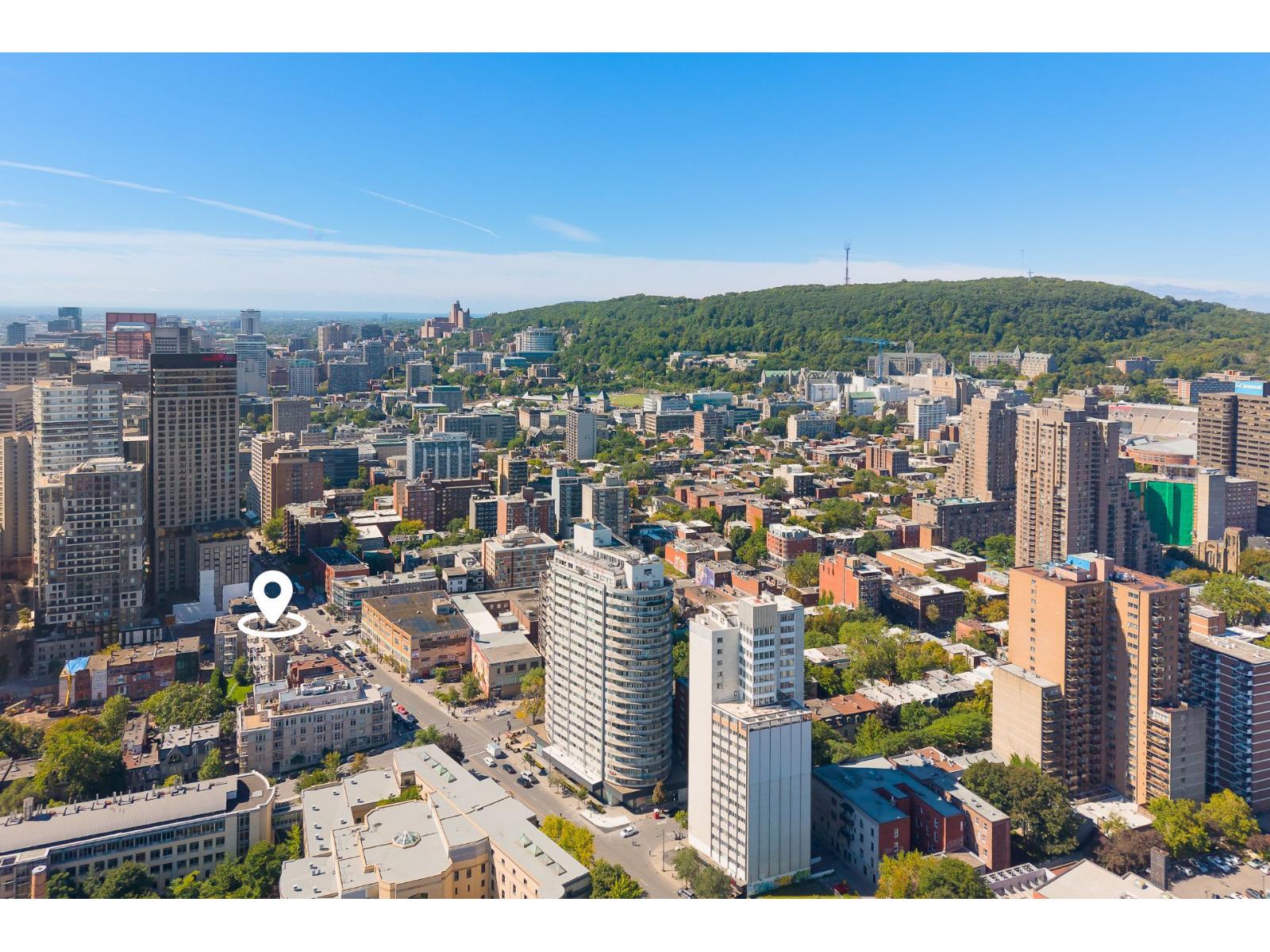 320 Rue Sherbrooke O., #201 Property Photo 4