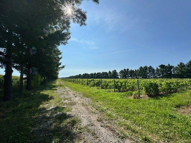 1150 Ch. Des Patriotes Property Photo 6