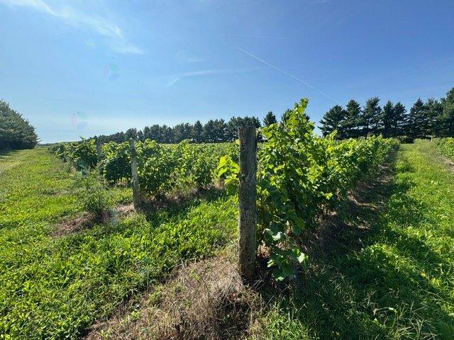 1150 Ch. Des Patriotes Property Photo 7