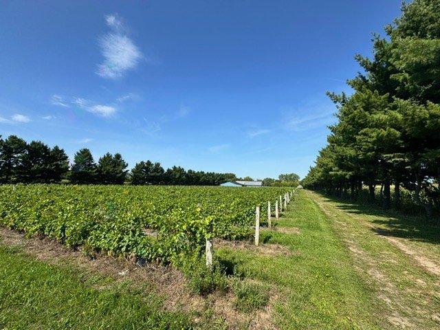 1150 Ch. Des Patriotes Property Photo 12