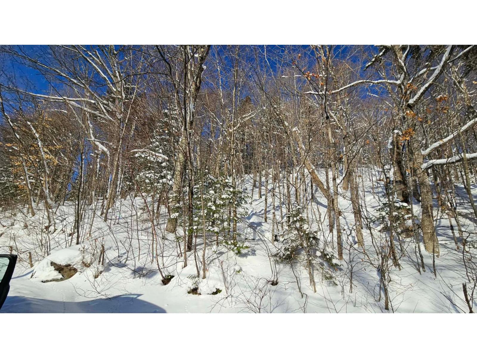 Ch. Des Bouleaux Property Photo 1