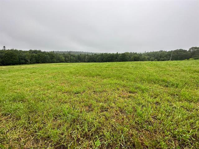 3151 Rg Campagna Property Photo 9