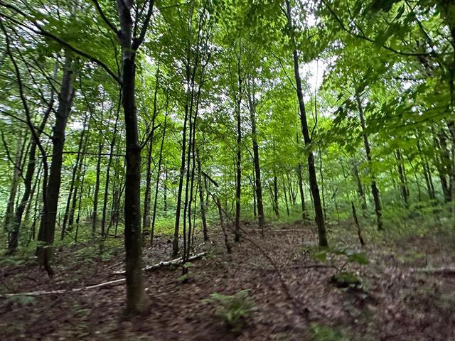 3151 Rg Campagna Property Photo 12