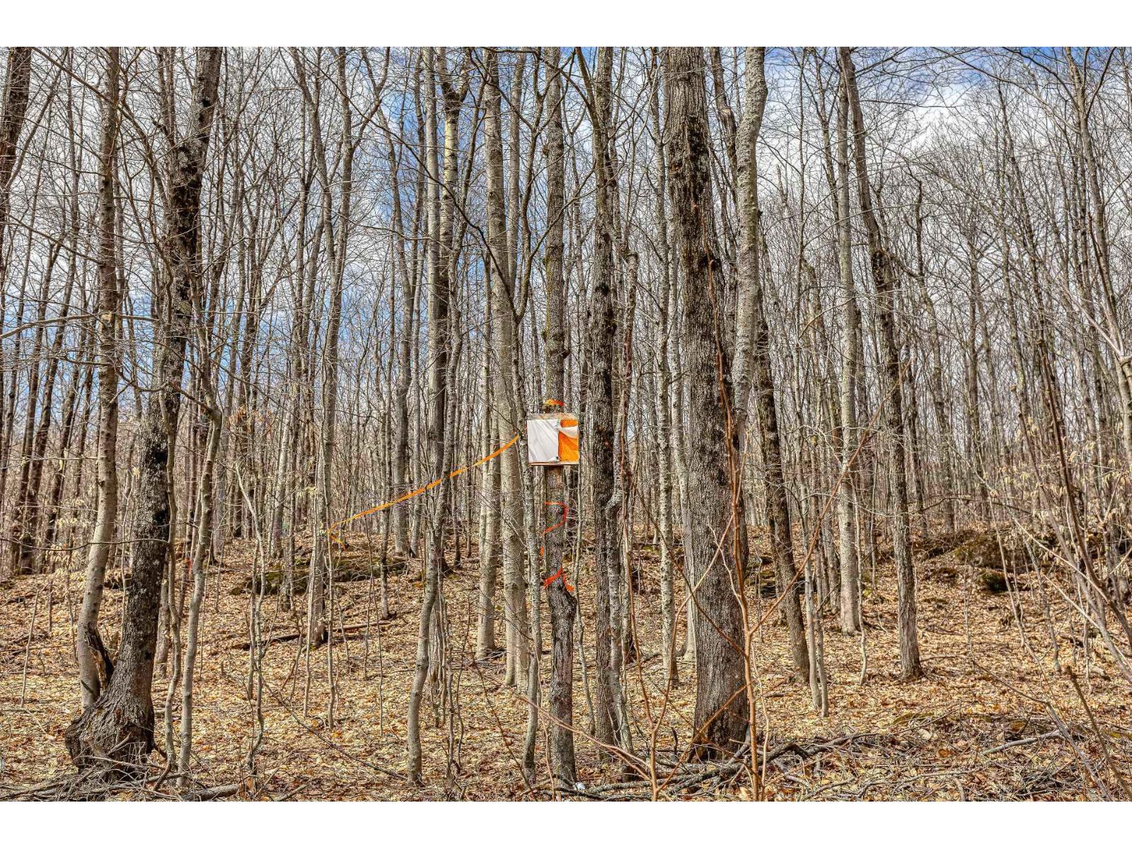 6 Ch. Du Lac-morgan Property Photo 4