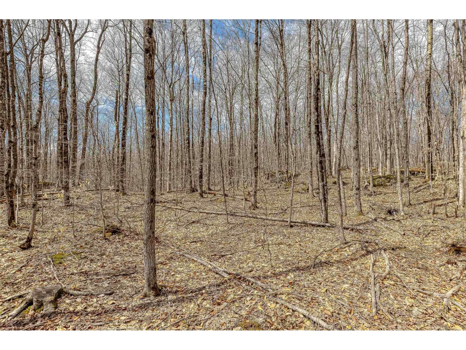 6 Ch. Du Lac-morgan Property Photo 11