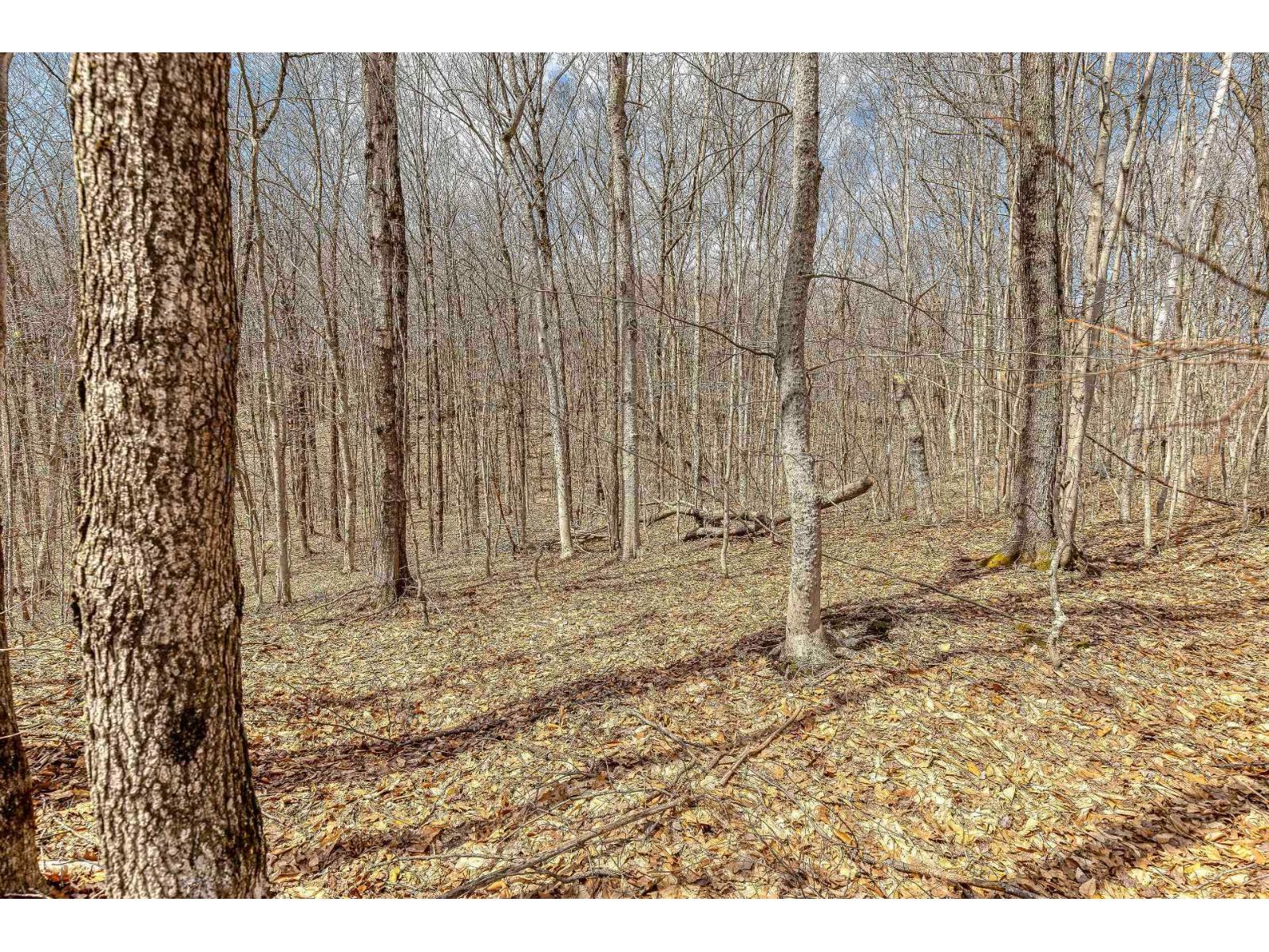 6 Ch. Du Lac-morgan Property Photo 12