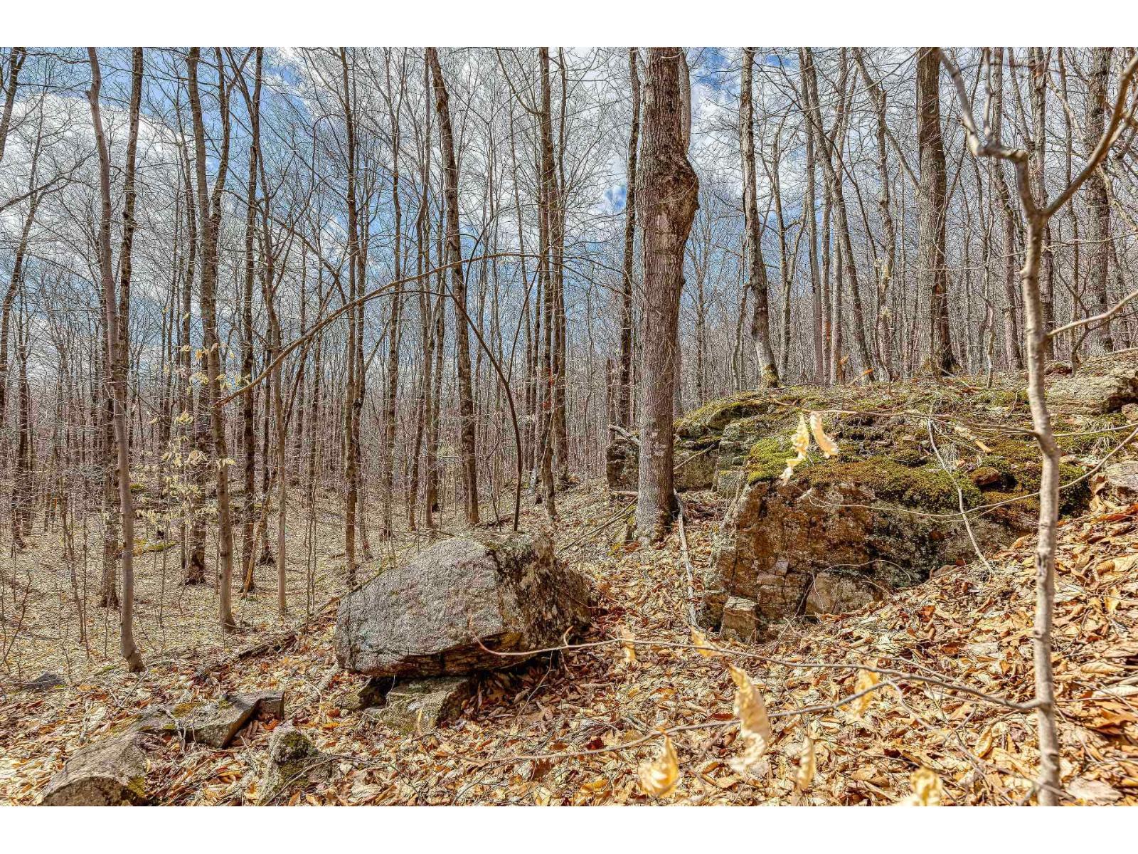 6 Ch. Du Lac-morgan Property Photo 13
