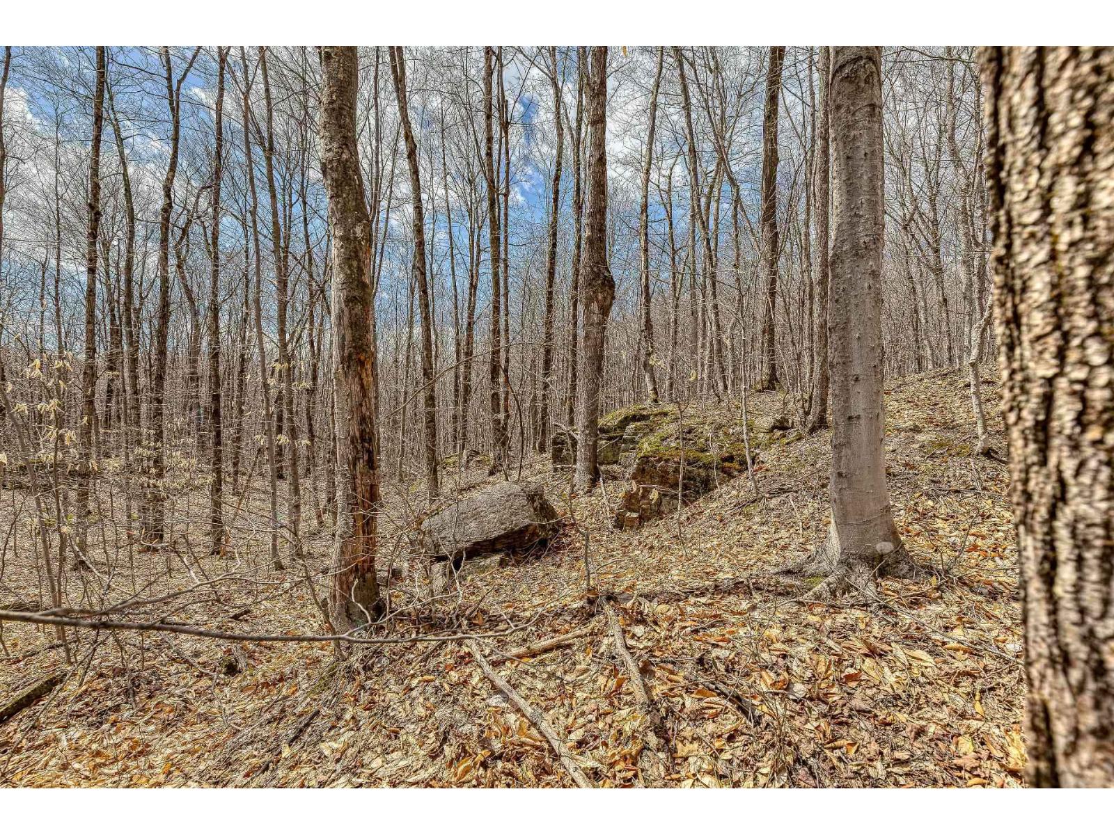 6 Ch. Du Lac-morgan Property Photo 14