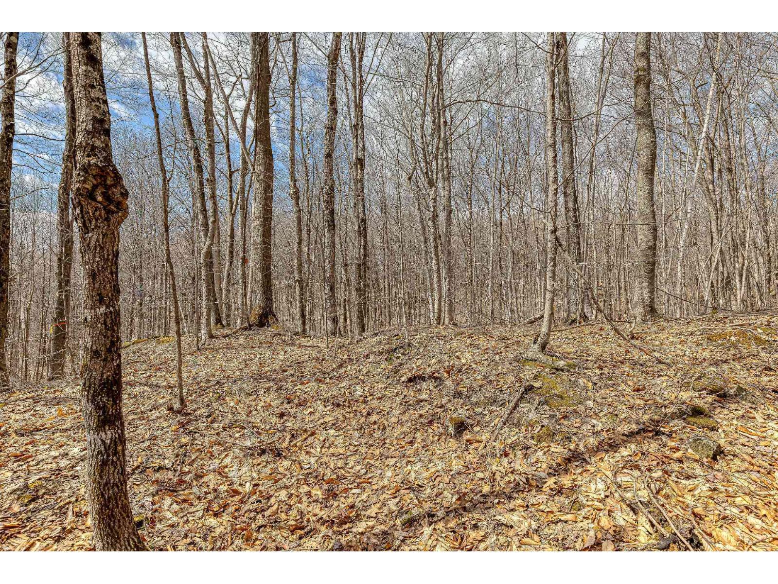 6 Ch. Du Lac-morgan Property Photo 15