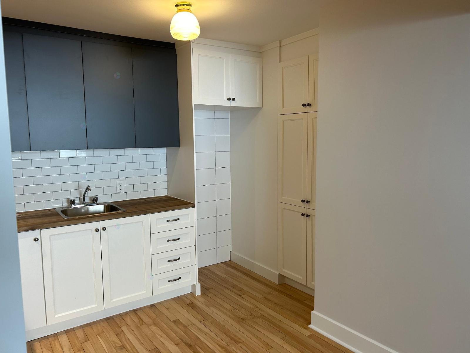 3820 Rue Ste-catherine E. Property Photo 5